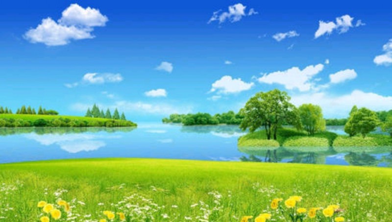 Screenshot_2025-05-04-23-13-07-20_98a3ad1b03a1f4f37bc1b1582cf92d0d