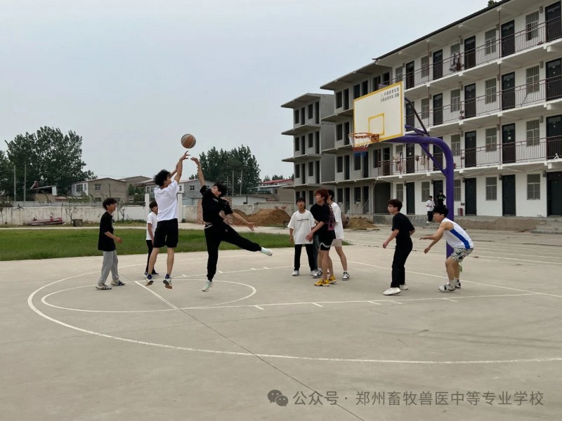 微信图片_20250528174700