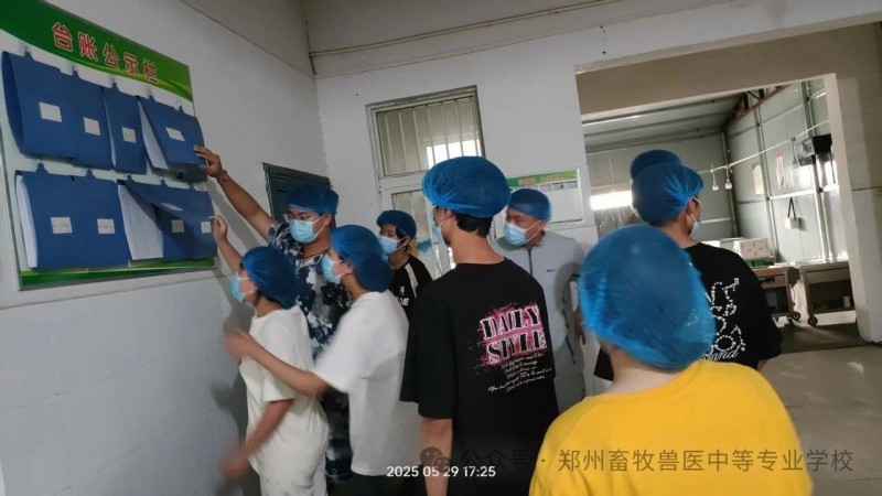微信图片_20250530174311