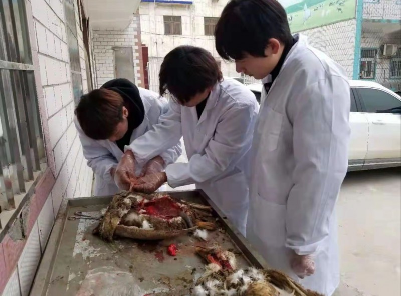 微信图片_202506161521542