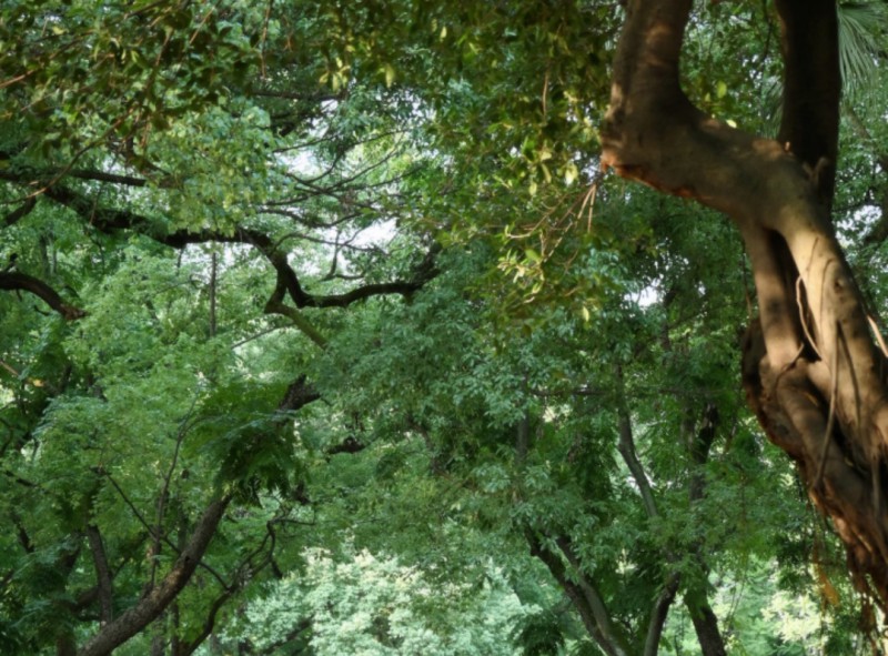 Screenshot_2026-04-24-19-36-30-29_a2db1b9502c98f25523e43284b79cce6