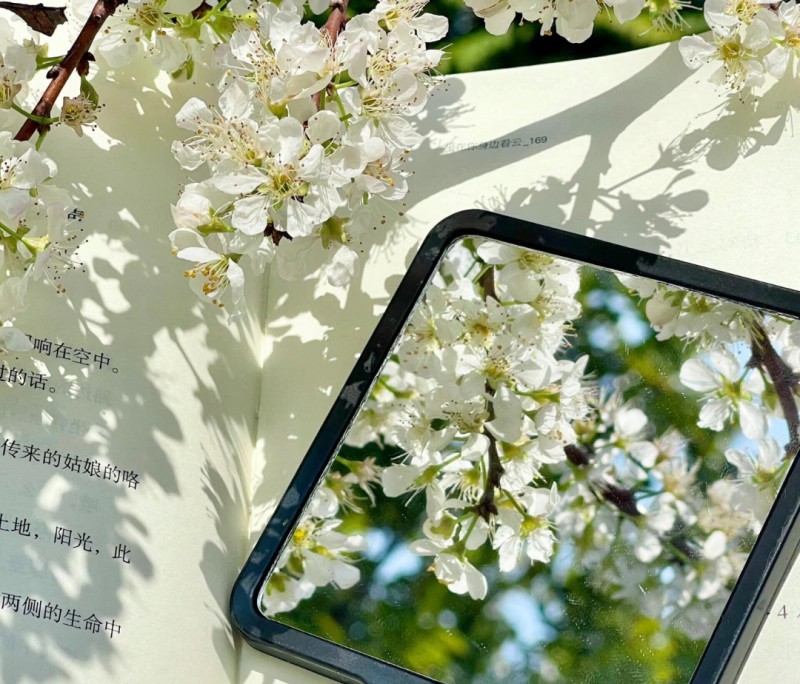 Screenshot_2026-04-29-17-29-15-05_a2db1b9502c98f25523e43284b79cce6